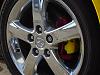 We're painting the roses red!-calipers3.jpg