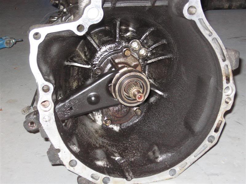 Name:  IMG_0826.jpg
Views: 86
Size:  79.3 KB