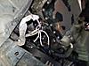 2008 mazda 3 factory fog light harness-20170615_183347.jpg