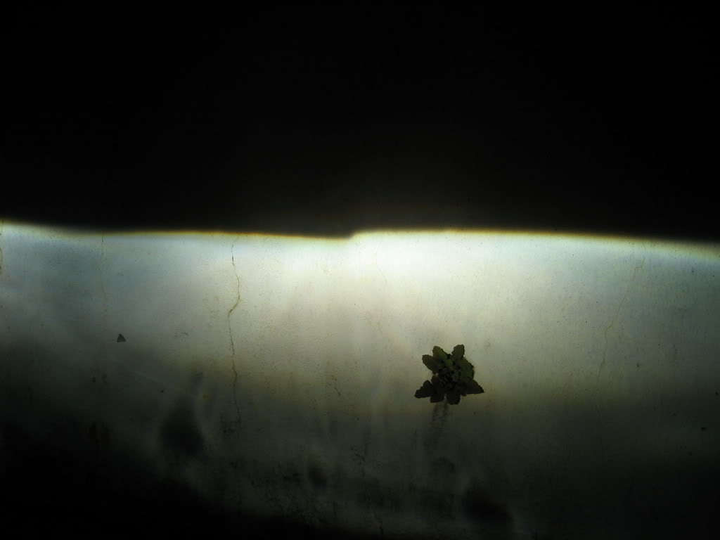 Name: IMG_0003.jpg
Views: 71
Size: 34.5 KB