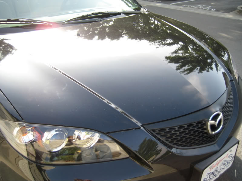 Name: IMG_3230.jpg
Views: 114
Size: 82.5 KB