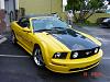 What the...-stang4.jpg
