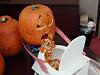 too much halloween spirit?-drunkpumpkin.jpg