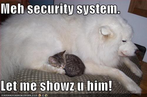 Name:  funny-pictures-cat-security-system.jpg
Views: 56
Size:  26.8 KB