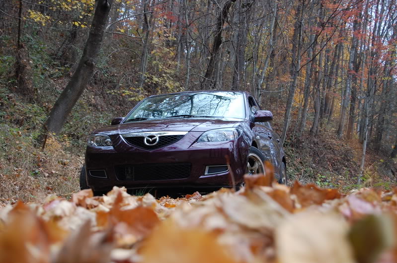 Name: firstcarpicswithD40035.jpg
Views: 24
Size: 153.3 KB