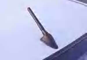 Name: AutoExeAntennae3.jpg
Views: 25
Size: 3.2 KB