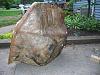 1995-1999 Mitsubishi Eclipse Parts-2.jpg