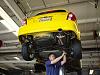 pic of catbacks-dsc02253.jpg