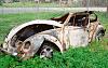 Lost loved ones from speed.-bug9.jpg