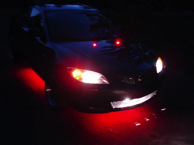 TriggArisE's Profile Picture